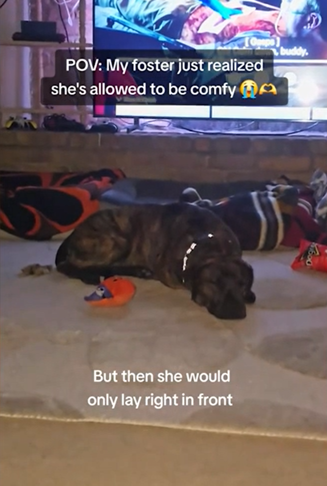 A Long Road to Comfort