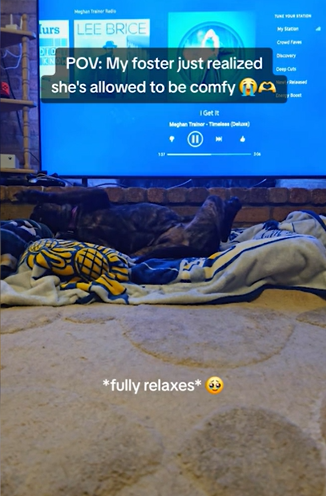 Learning to Trust Again