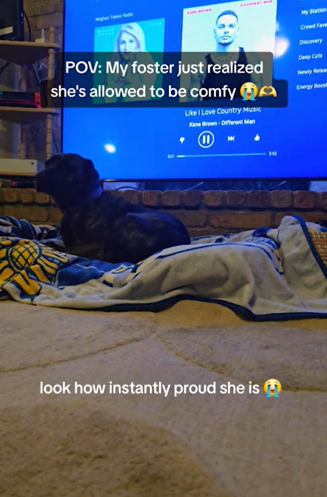 A Future Wrapped in Warmth and Love