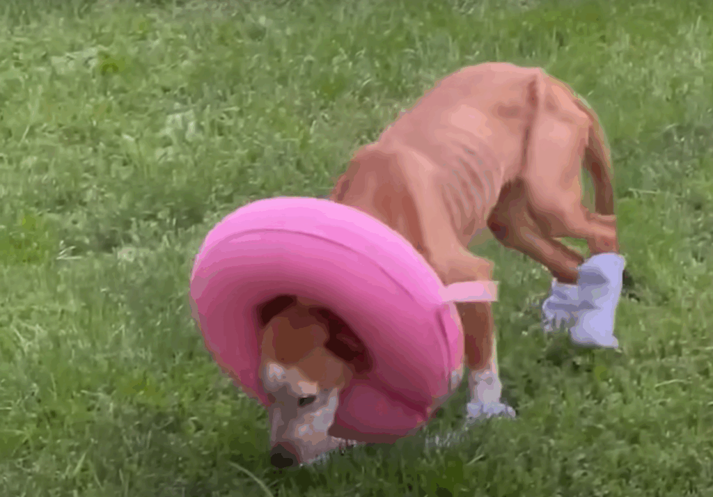 Fighting Back with Unbreakable Spirit