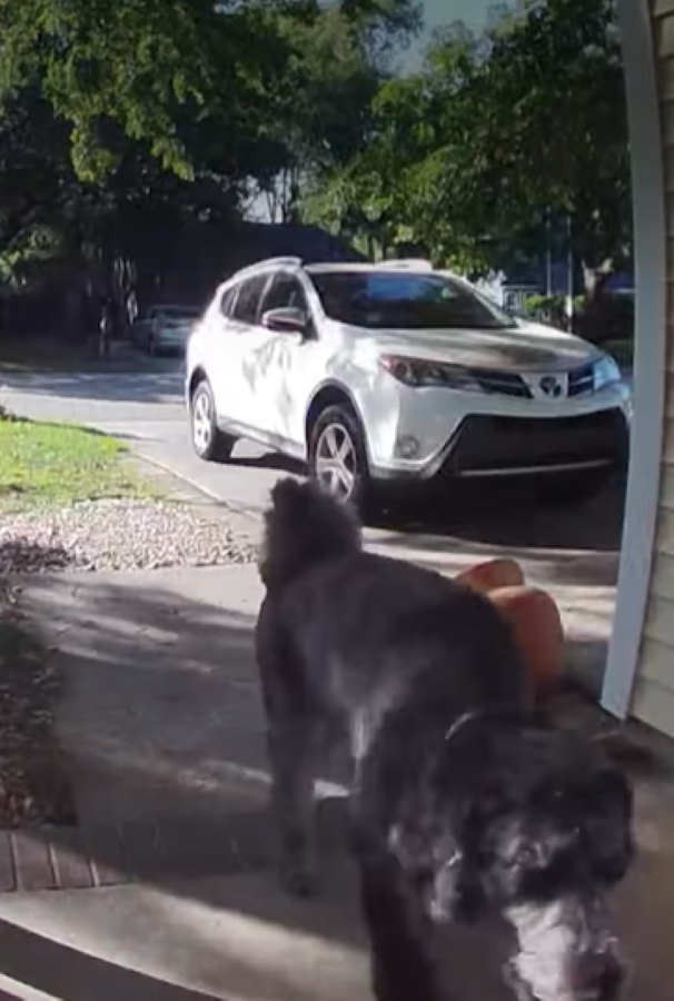 A Daily Routine That Melts Hearts