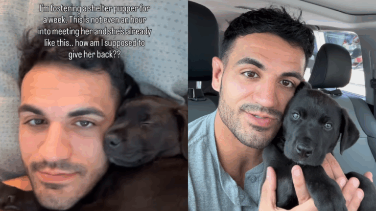 Man’s Epic Fail at Fostering a Shelter Pup for A Week Goes Viral