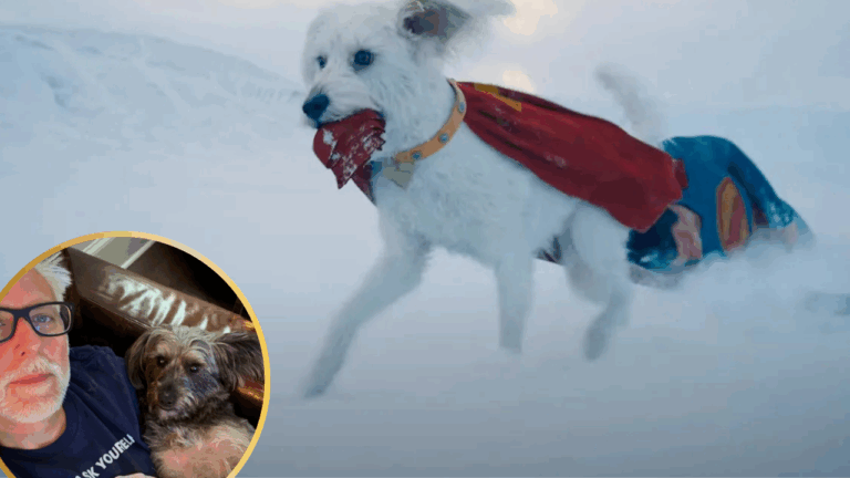 James Gunn’s  Superman Prompts Surge in Dog Adoption Searches by 500%