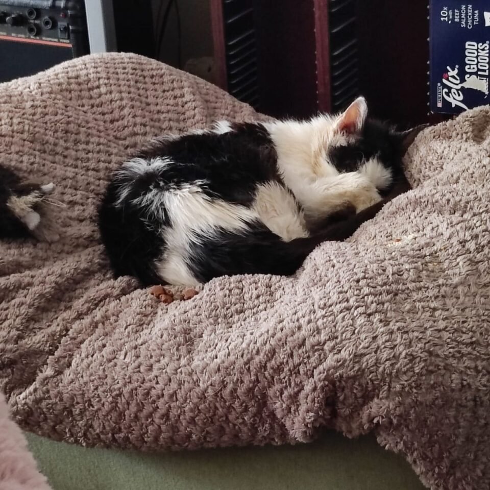 A Heartbreaking Disappearance