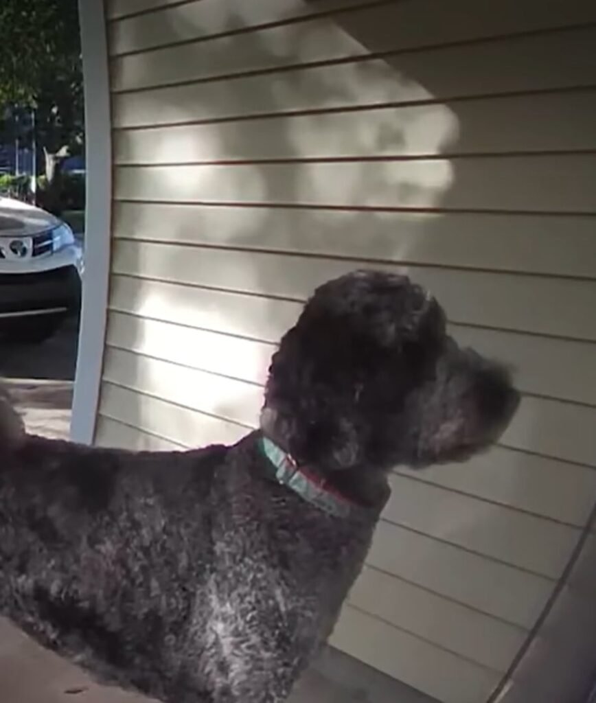 Why This Friendship Feels So Special