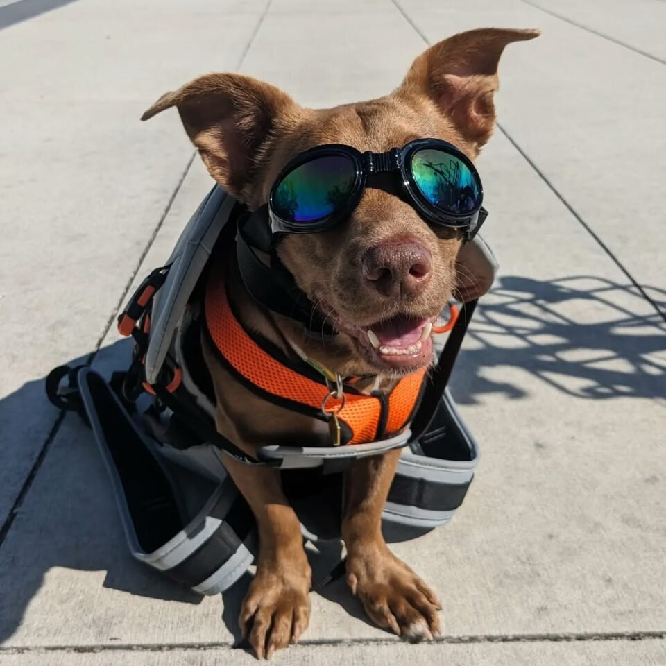 Riding Into a Brand-New Life
