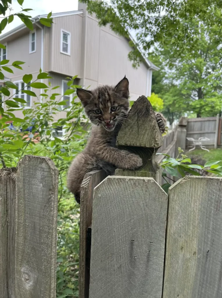 A Mother’s Search Begins