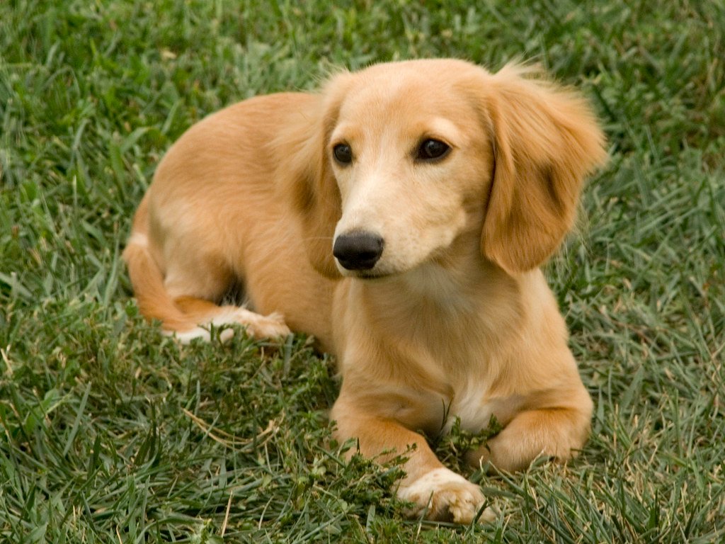 Real World Examples: What Works (and What Doesn&rsquo;t) (image credits: flickr)