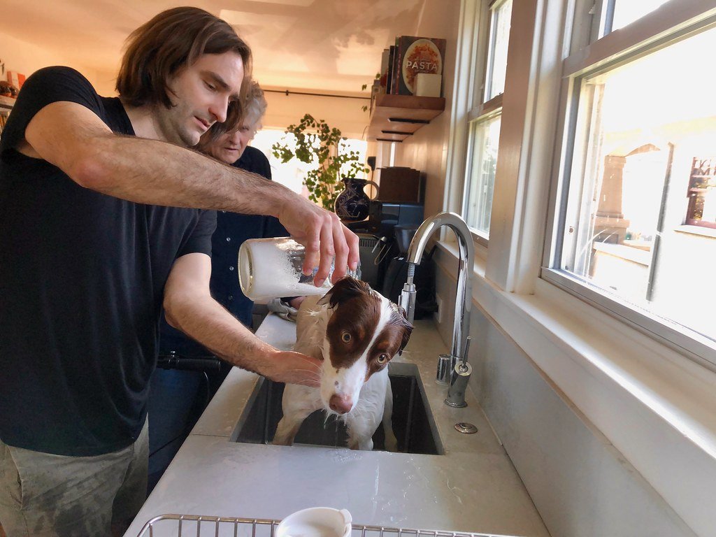 Health Watch: What to Look Out For (image credits: flickr)