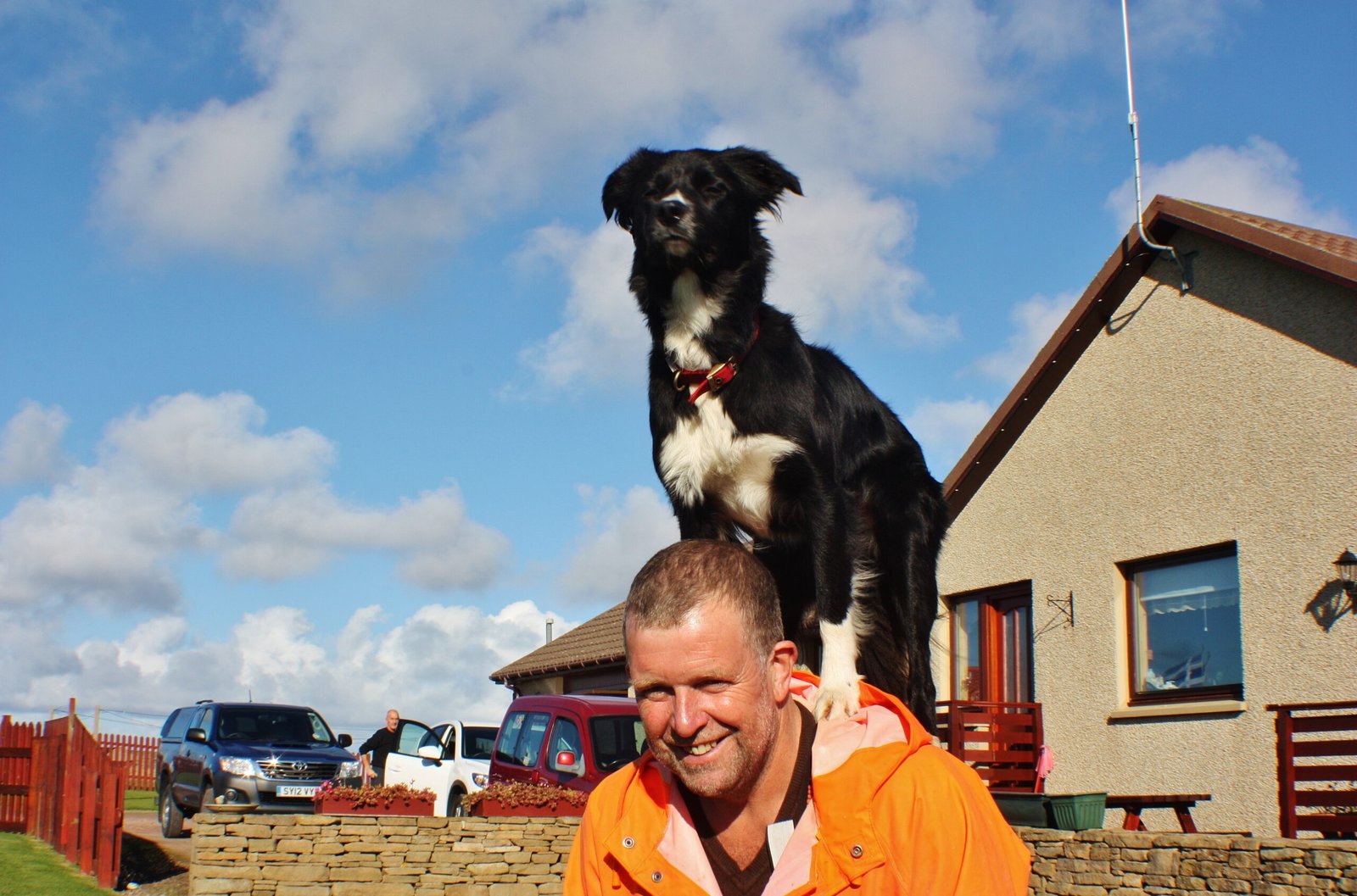 Why The Border Collie Is Not Everybody's Dog