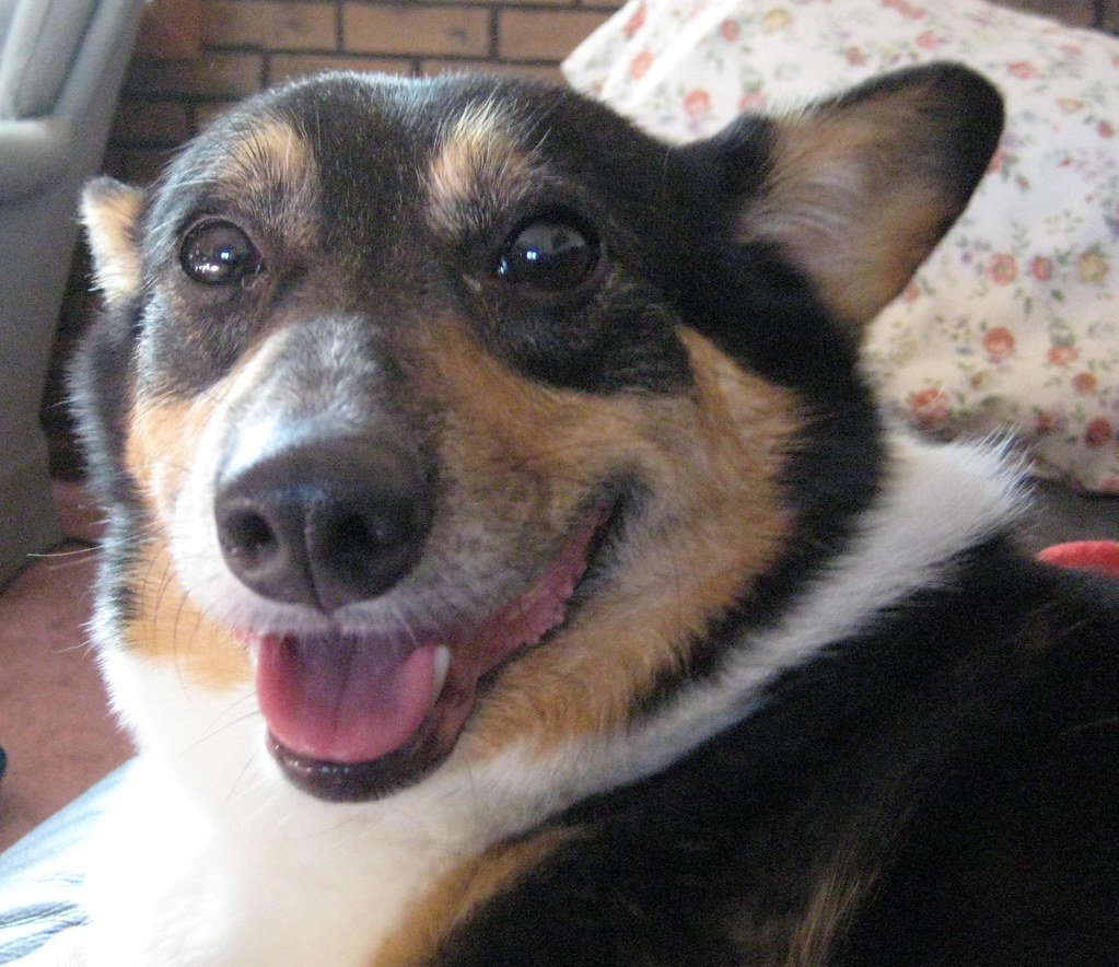 Conclusion: More Than Just Fun and Games (image credits: flickr)