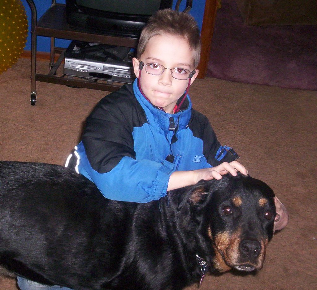 Labrador Retriever (image credits: flickr)