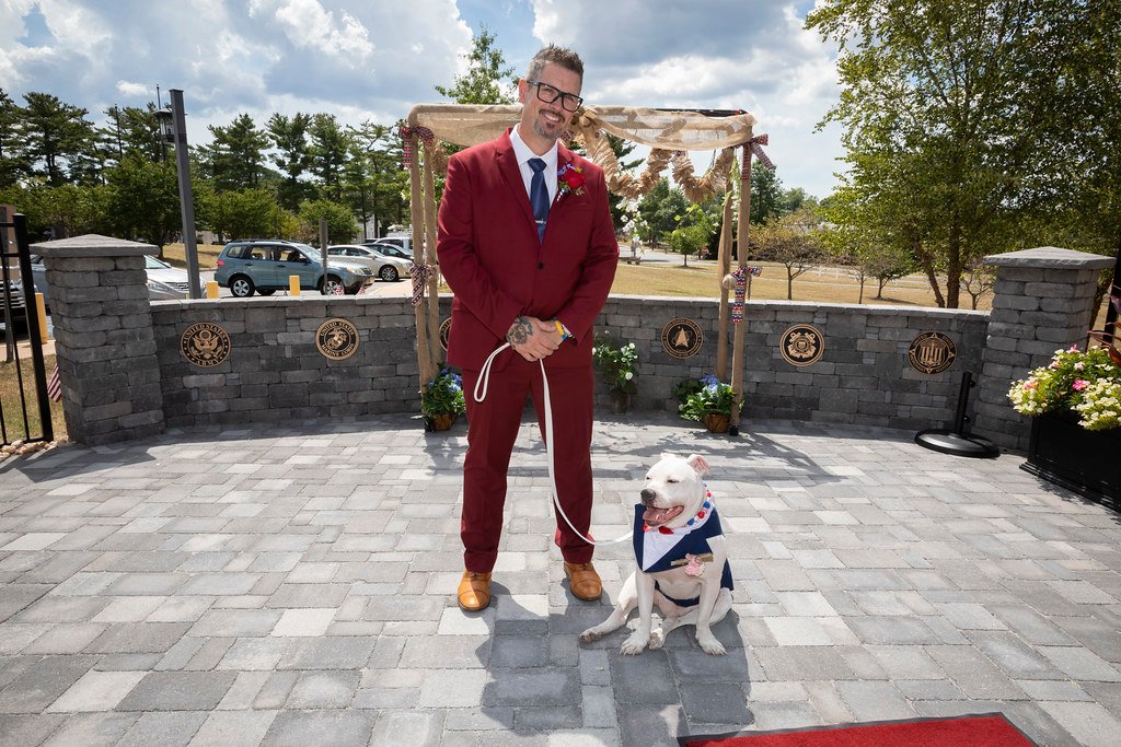 Real-Life Heroes: Pit Bulls Changing Lives (image credits: flickr)
