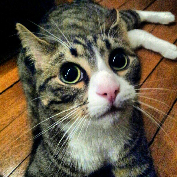 Health Signs: When Missing You Becomes a Problem (image credits: flickr)