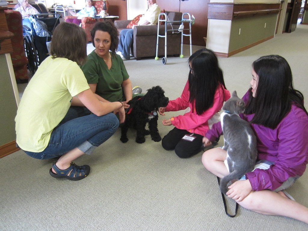 Meeting People: Building Social Confidence (image credits: flickr)