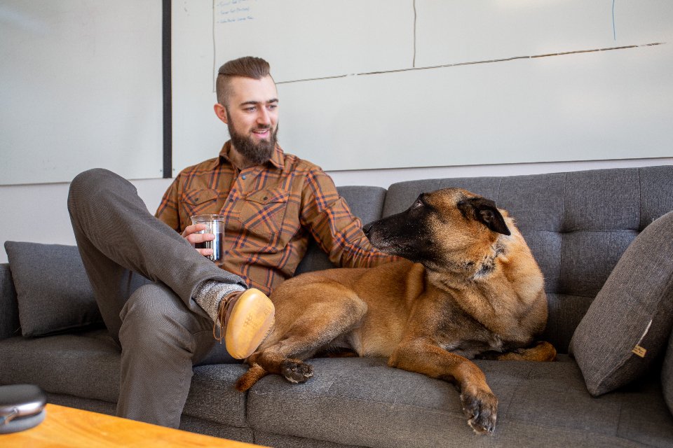 The Science Behind Unwavering Canine Devotion (image credits: stocksnap)