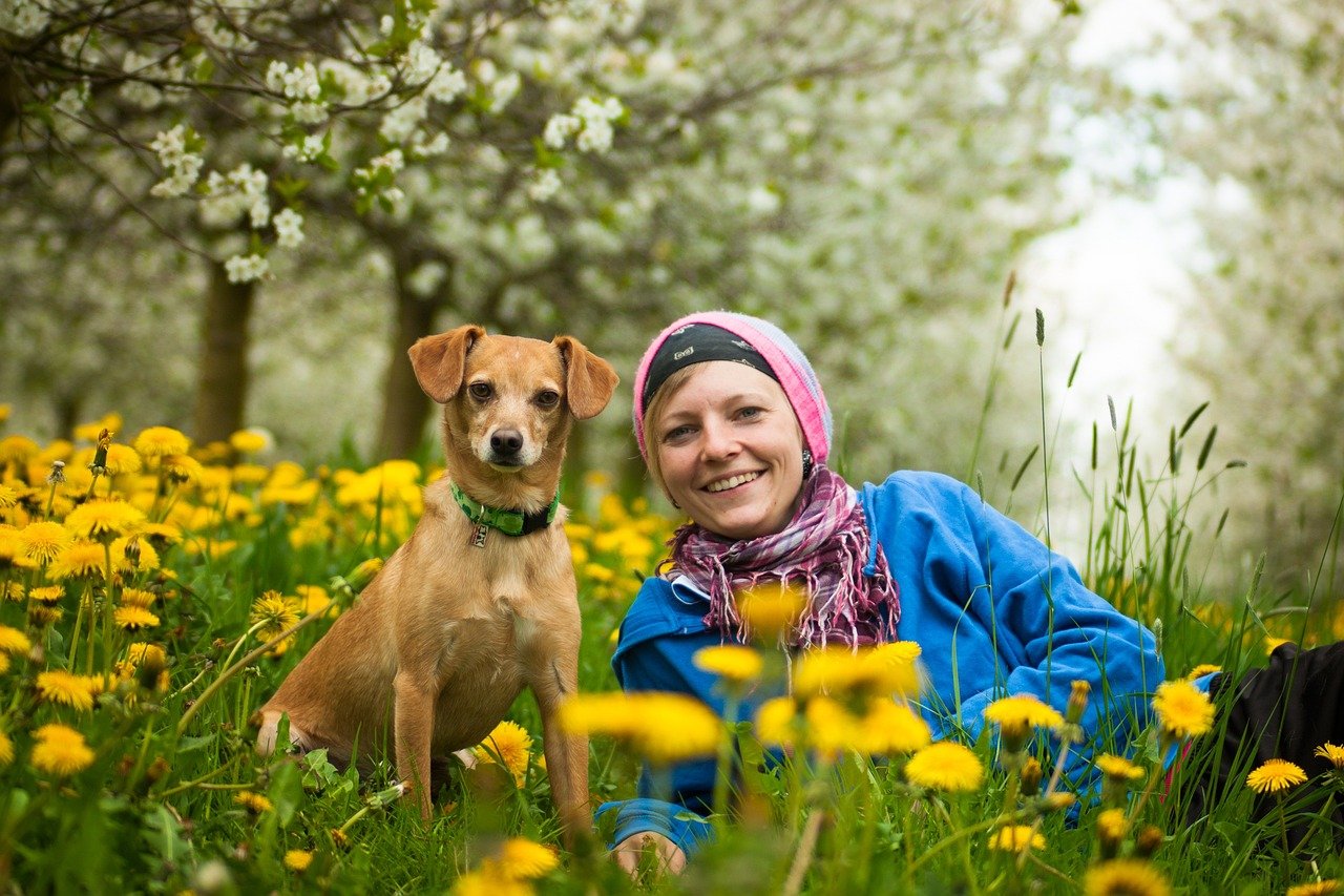 The Science Behind the Human-Dog Bond (image credits: pixabay)