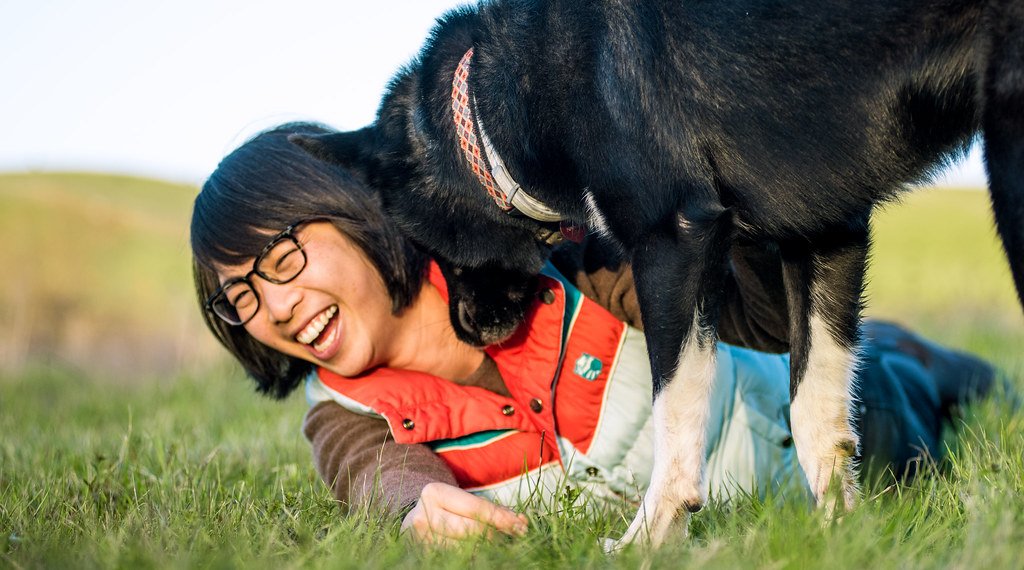 Practice Reliable Recall—Make “Come” a Game (image credits: flickr)