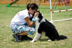 The Benefit of a Dog Behaviorist for Mischief Mutts