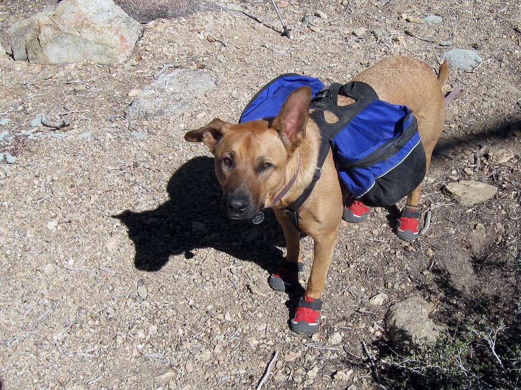 Packing Smart for a Comfortable Hike (image credits: flickr)