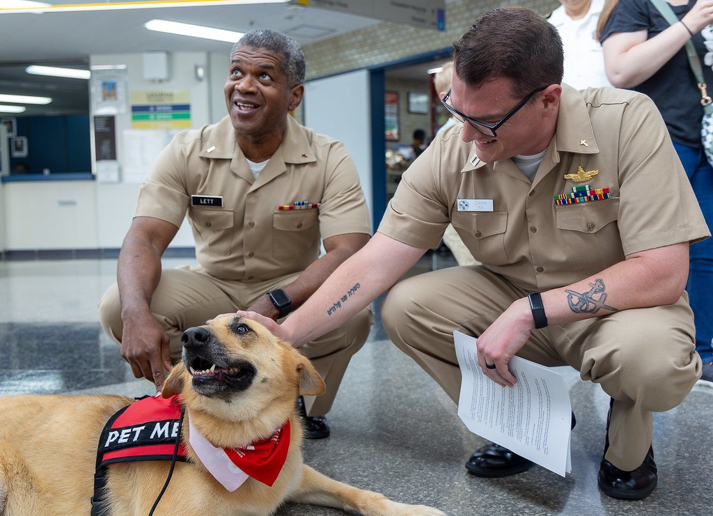 Age and Maturity Requirements (image credits: flickr)