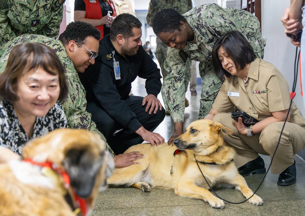 Social Skills and Interaction Preferences (image credits: flickr)