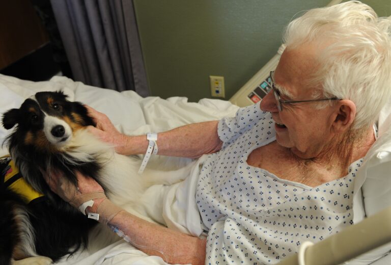 How To Understand if Your Dog Makes a Good Therapy Dog