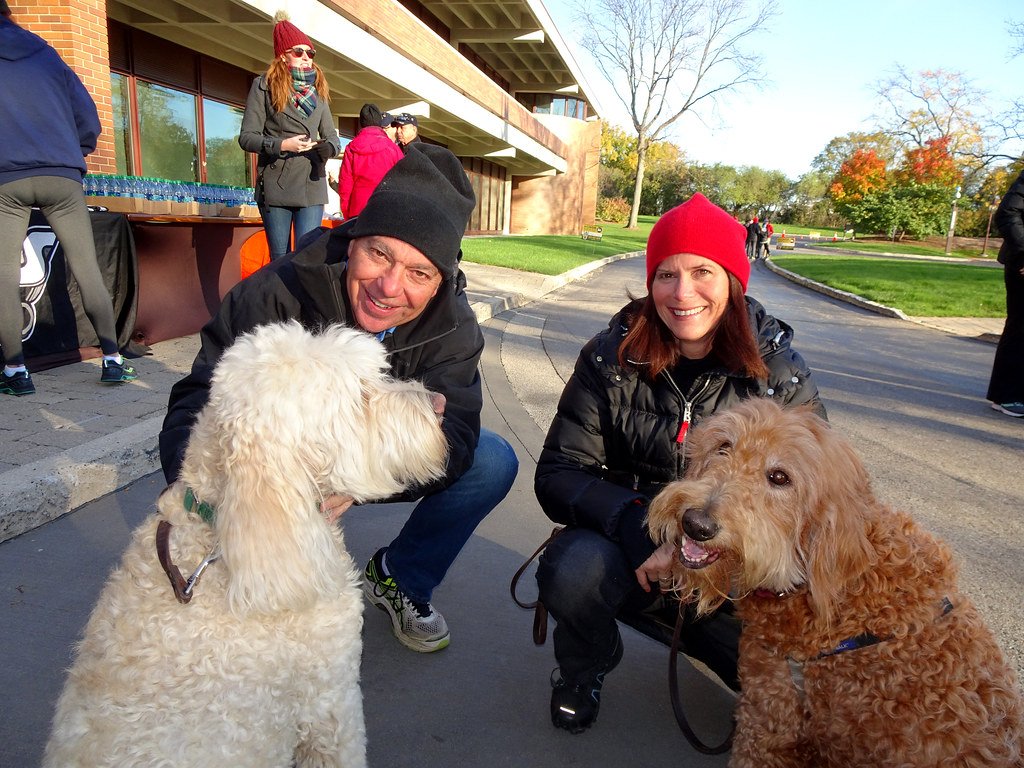 Choosing the Right Positive Trainer: Questions to Ask (image credits: flickr)