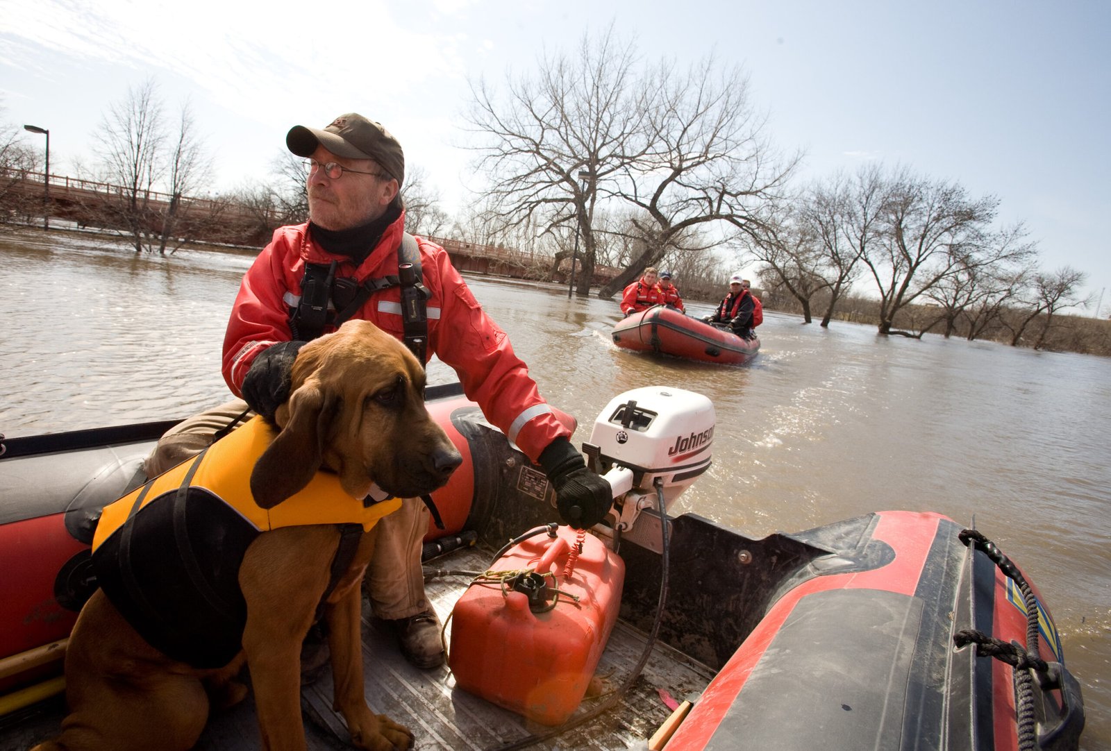 Conclusion: Your Rescue’s Next Chapter (image credits: wikimedia)