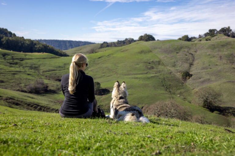 The Best Adventure Dogs for Mountain Living and Trail Running