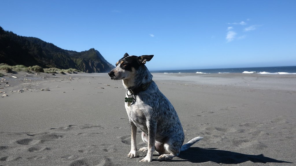 Cannon Beach, Oregon (image credits: flickr)