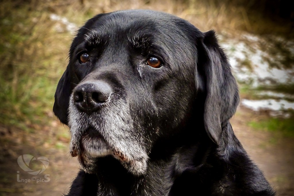 Significant Changes in Mental State and Confusion (image credits: flickr)