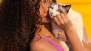 10 Things Cats Love That You Probably Don't Know