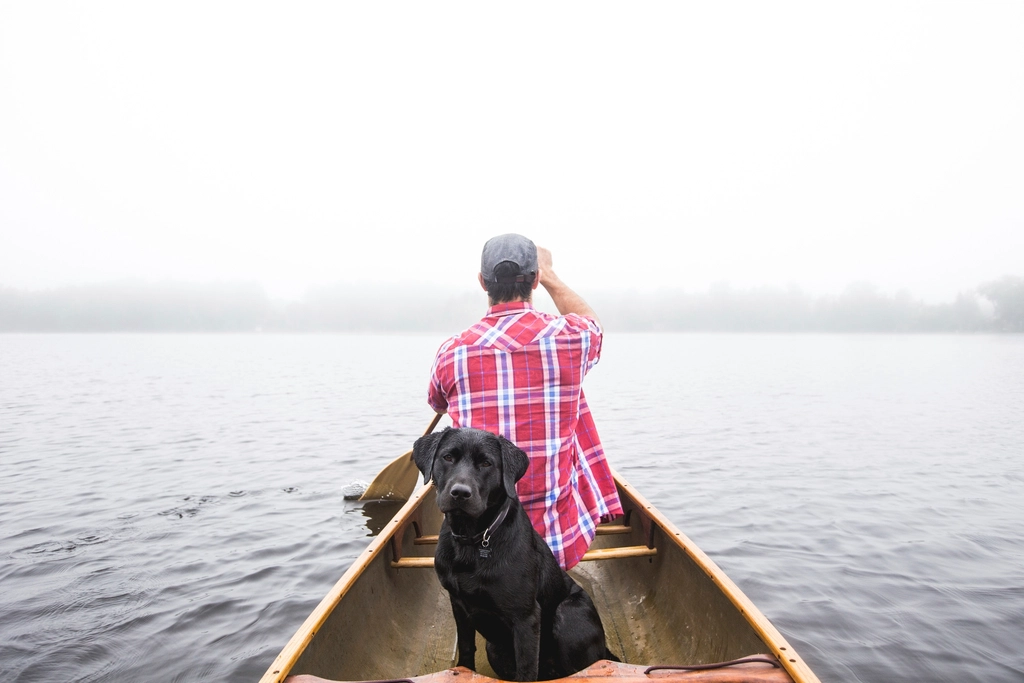 Easy - The Gentle Pause Button (image credits: rawpixel)