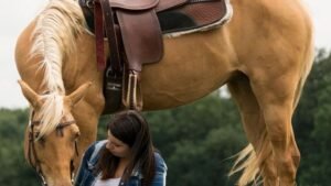 10 Facts That Makes The Palomino Horse So Special