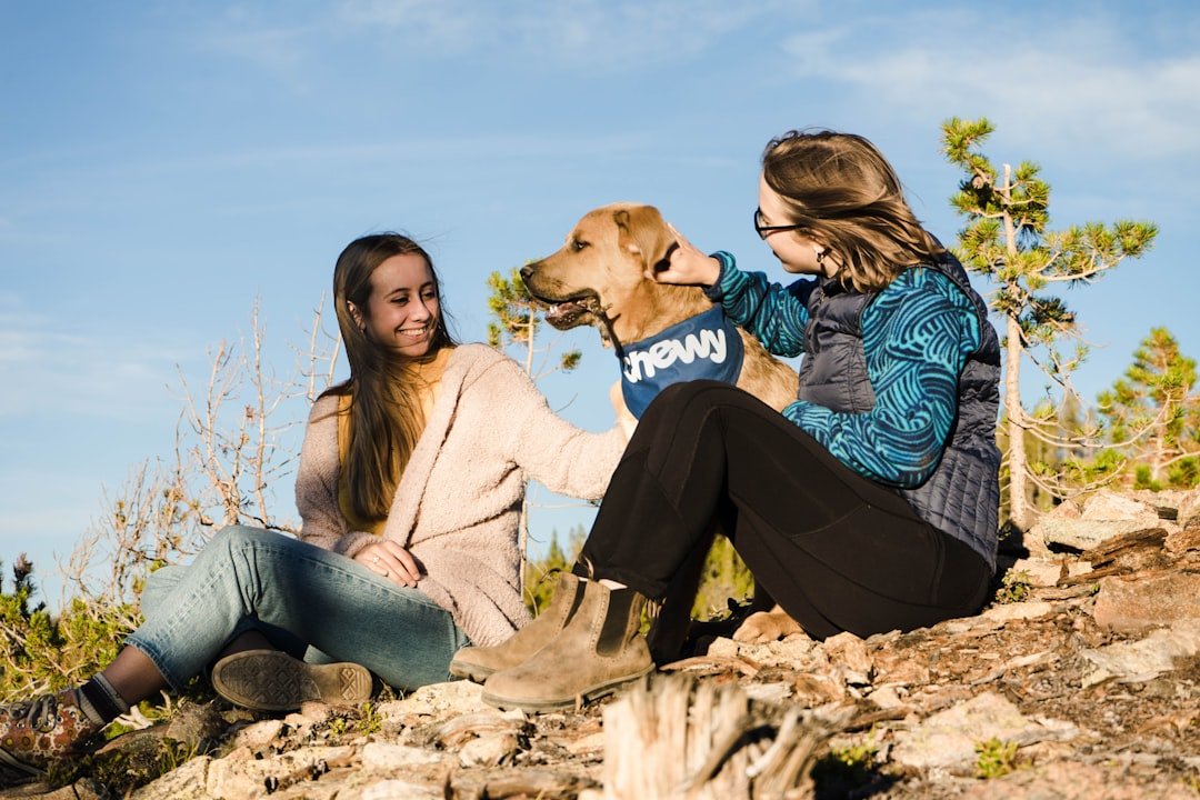 The Perfect Balance: Finding Your Ideal Canine Companion (image credits: unsplash)