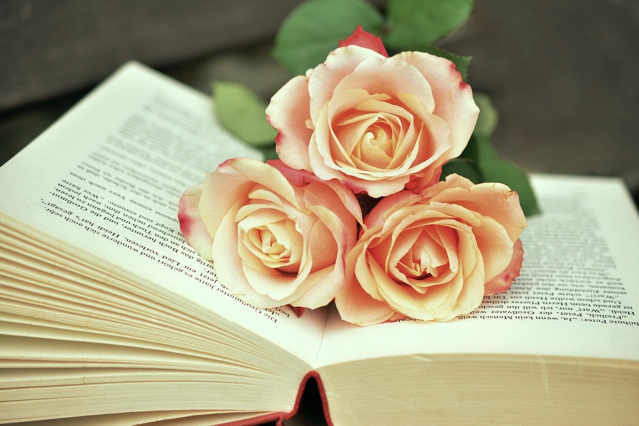 Design a Memory Scrapbook (image credits: pixabay)