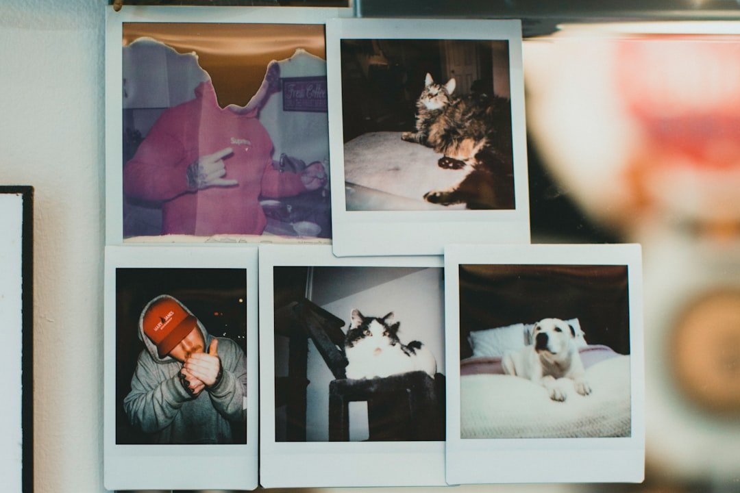 Make a Custom Photo Collage (image credits: unsplash)