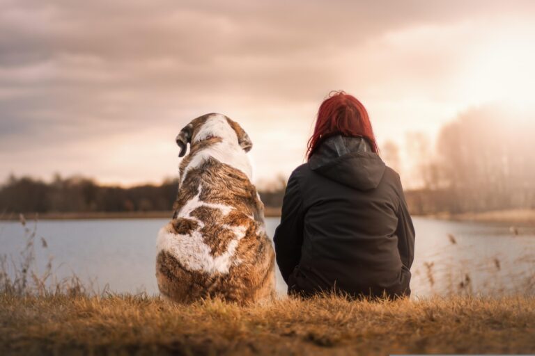 12 Comforting Ideas to Honor a Pet After They Cross The Rainbow Bridge