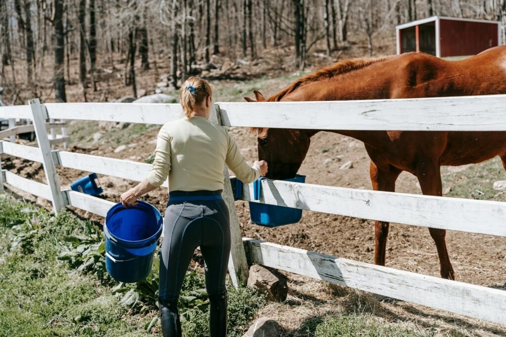 Woman with long hair giving water to a horse over a farm fence outdoors.