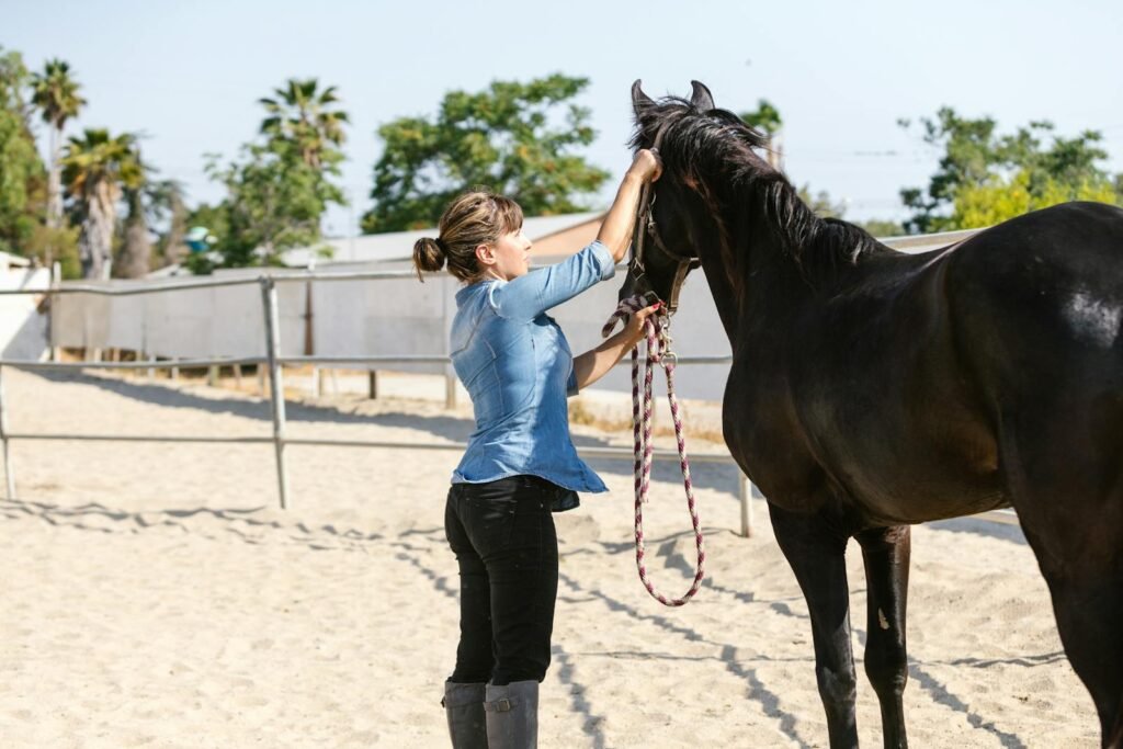 An adult woman adjusting a horse bridle outdoors in a sunny paddock.