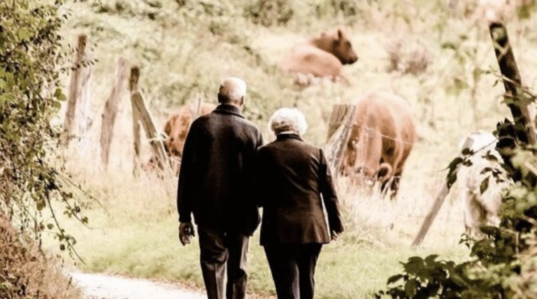 Ranking the 50 Illinois Counties with the Shortest Life Expectancy