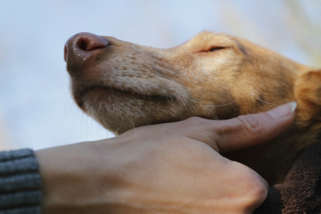 The Magic of Scent Memory (image credits: unsplash)