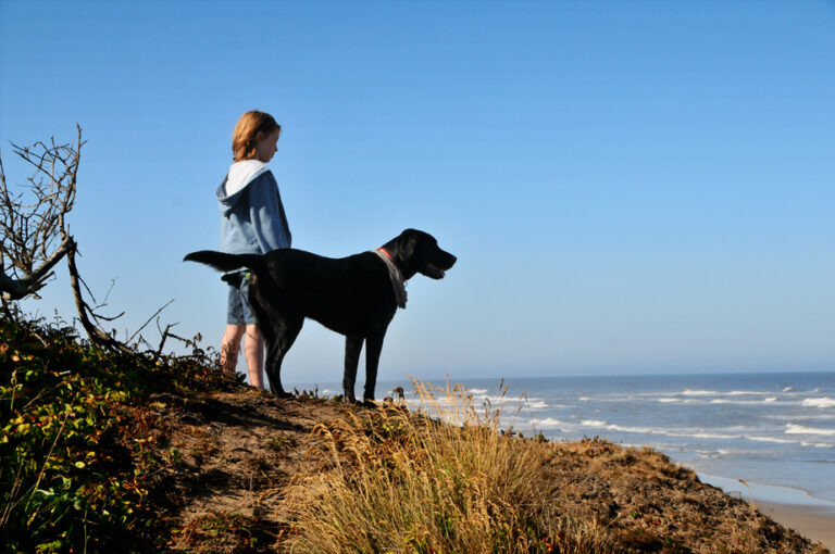10 Reasons Your Dog Loves Certain People More Than Others