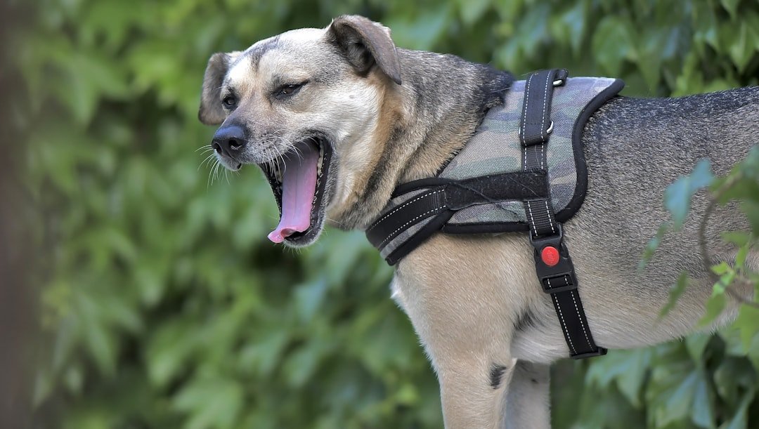 Using Cheap or Untested Safety Equipment (image credits: unsplash)