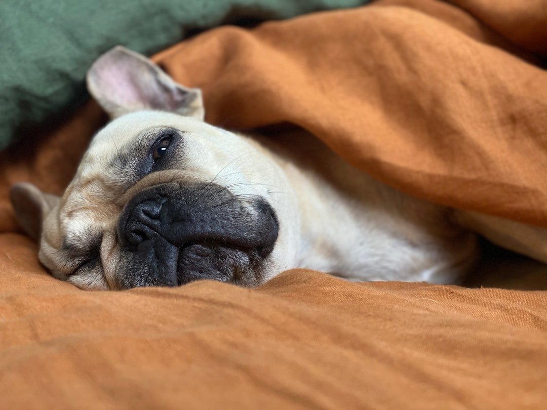 Changes in Sleeping Patterns (image credits: unsplash)
