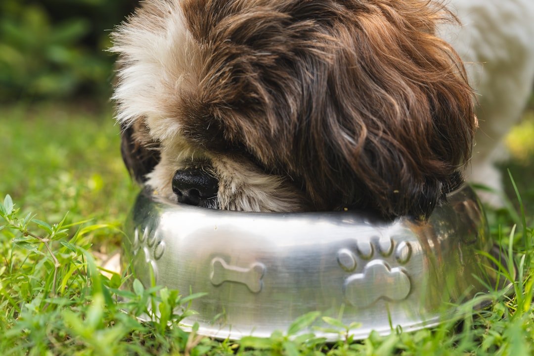 Appetite Changes - Either Eating Too Much or Too Little (image credits: unsplash)