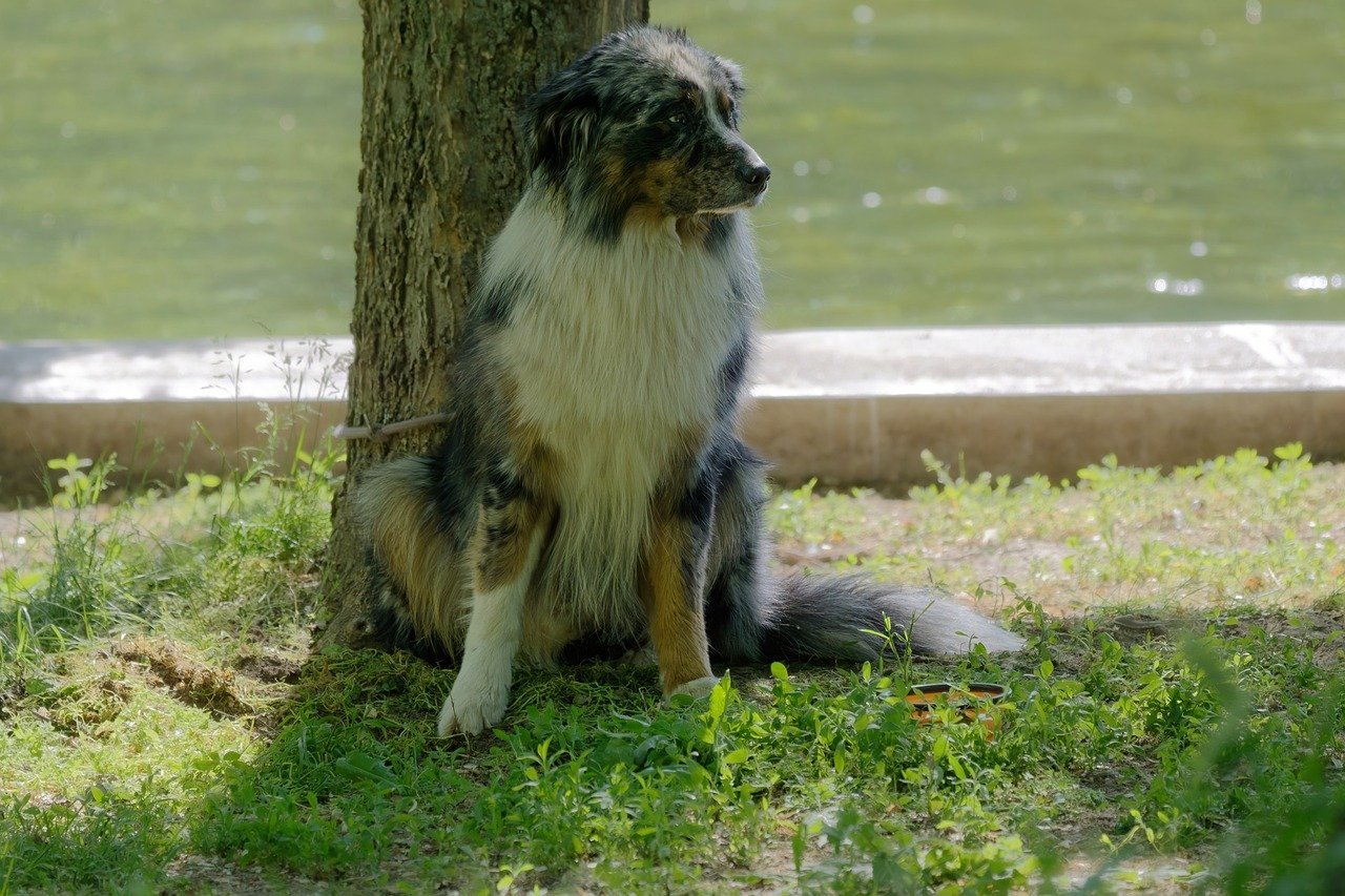 When Leaning Could Signal Health Issues (image credits: pixabay)