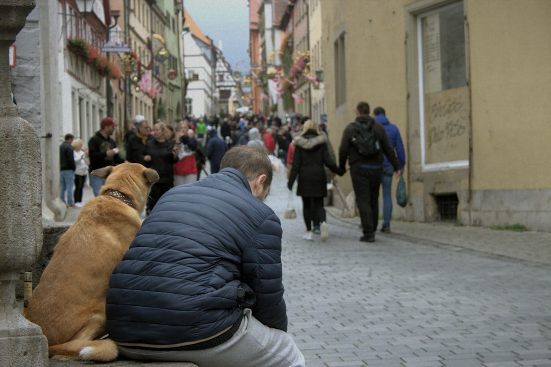 How to Respond to Your Dog's Leaning (image credits: unsplash)