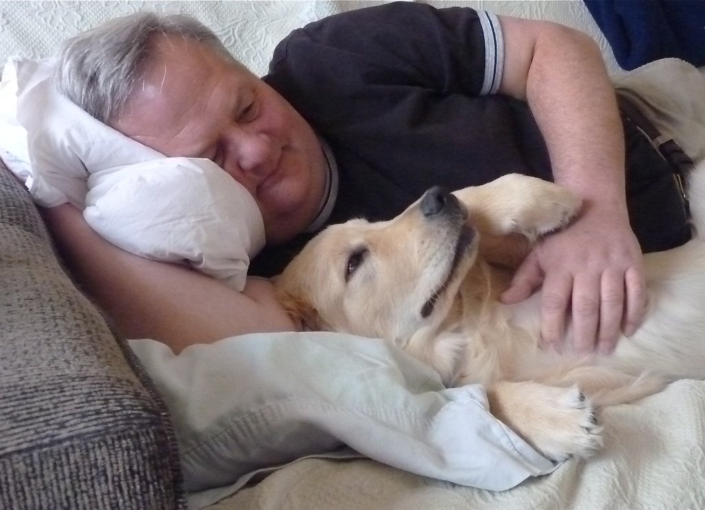 They're Professional Cuddle Space Invaders (image credits: flickr)